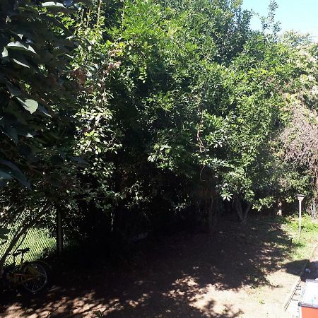 La Casa Di Mango E Pistacchio Hotel Segrate Ngoại thất bức ảnh