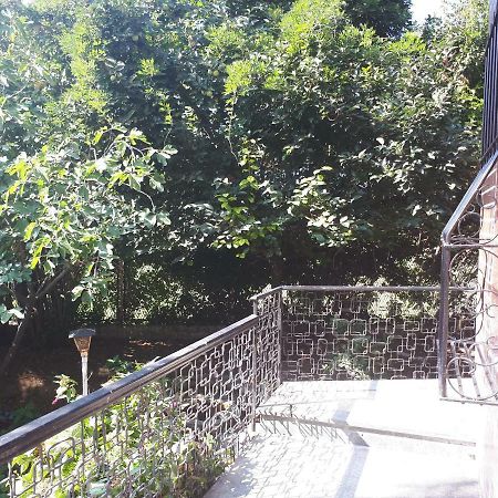 La Casa Di Mango E Pistacchio Hotel Segrate Ngoại thất bức ảnh